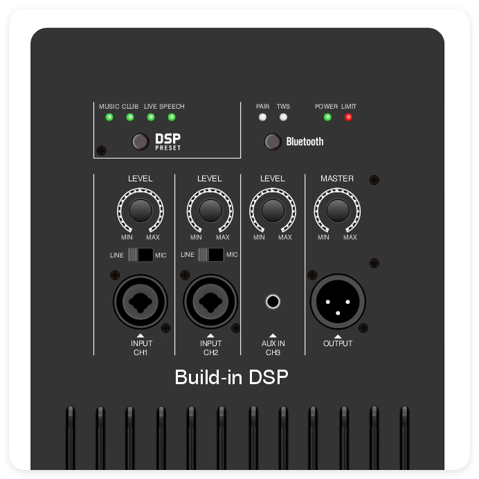 DSP2509 Hög kostnadseffektiv multifunktionsklass AB-förstärkare med DSP